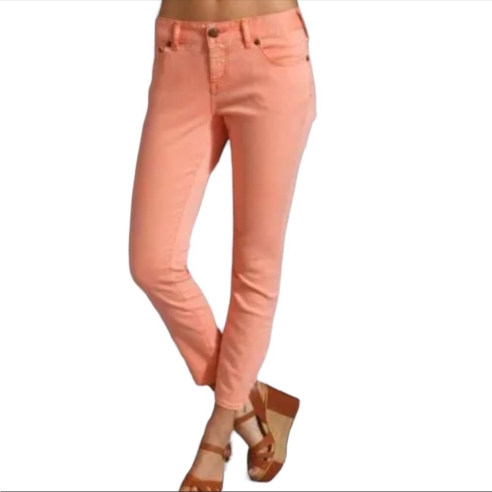 Free People Millennium Ankle Zip Skinny Jean. Sz 27